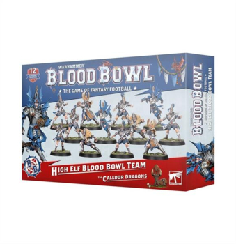(202-62) Blood Bowl: High Elf Blood Bowl Team