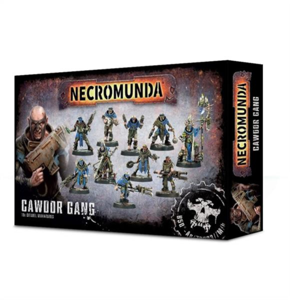 (300-31) Necromunda Cawdor Gang